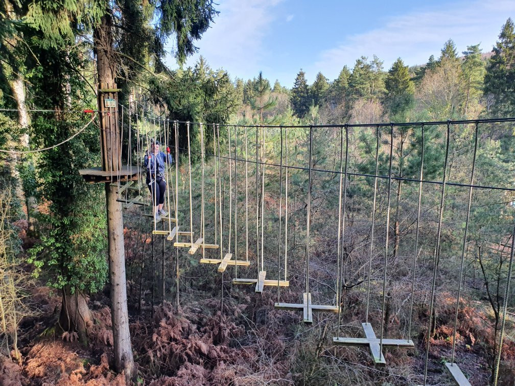 Go Ape Forest Of Dean Mallards Pike-Lydney必去景点