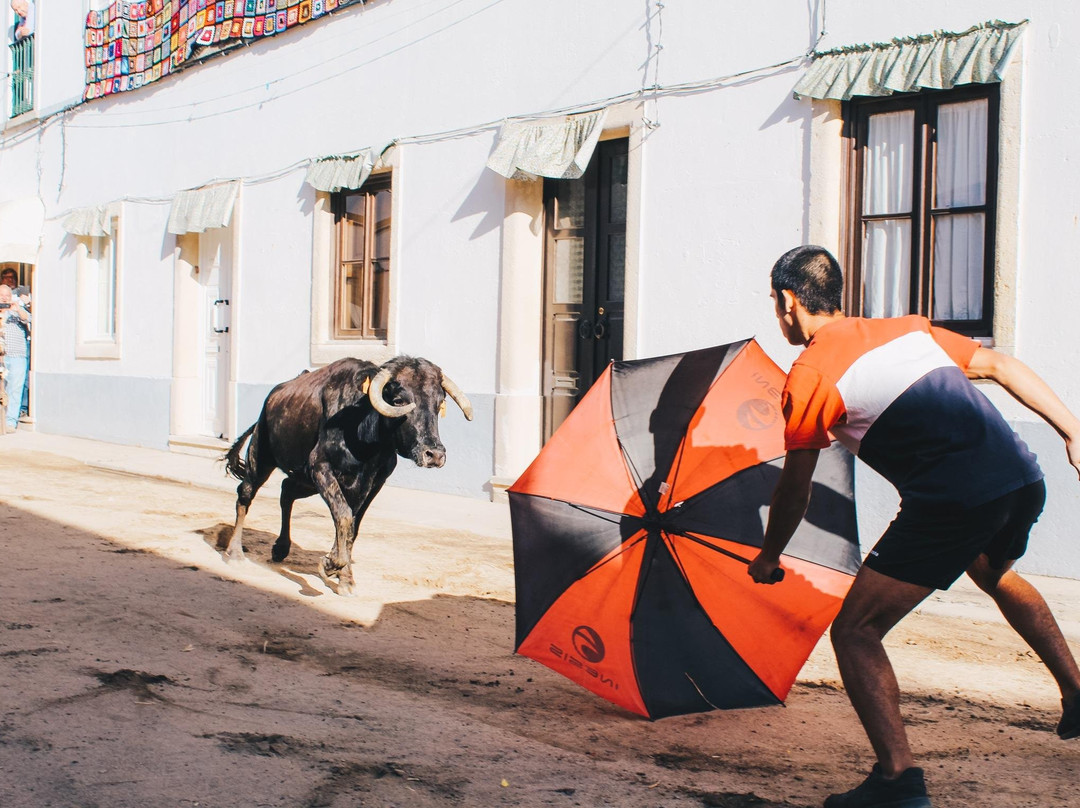 Rootfarers Portugal-里斯本必去景点