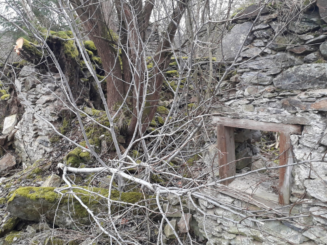 Penzion Bauru Dvur主图