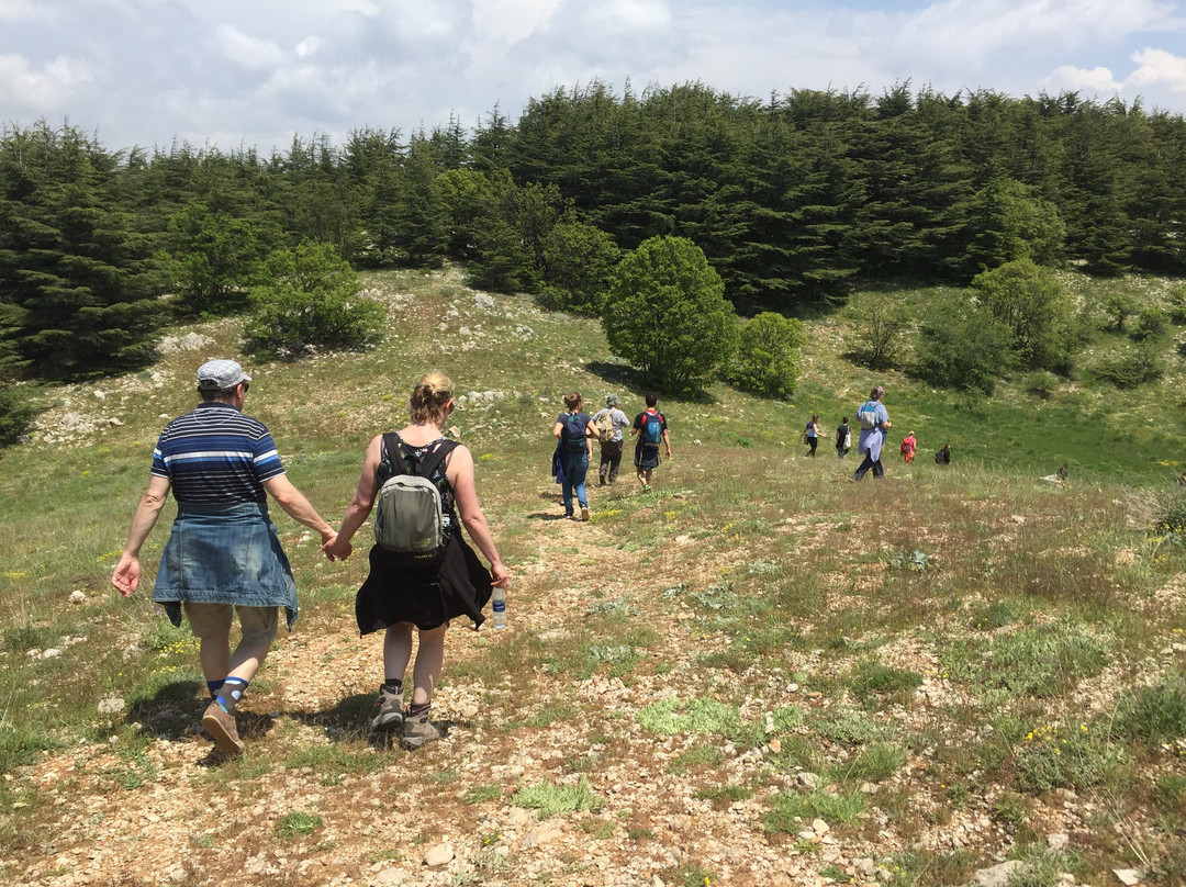 Living Lebanon-贝鲁特必去景点