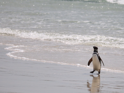 North Ponds Park-Webster必去景点