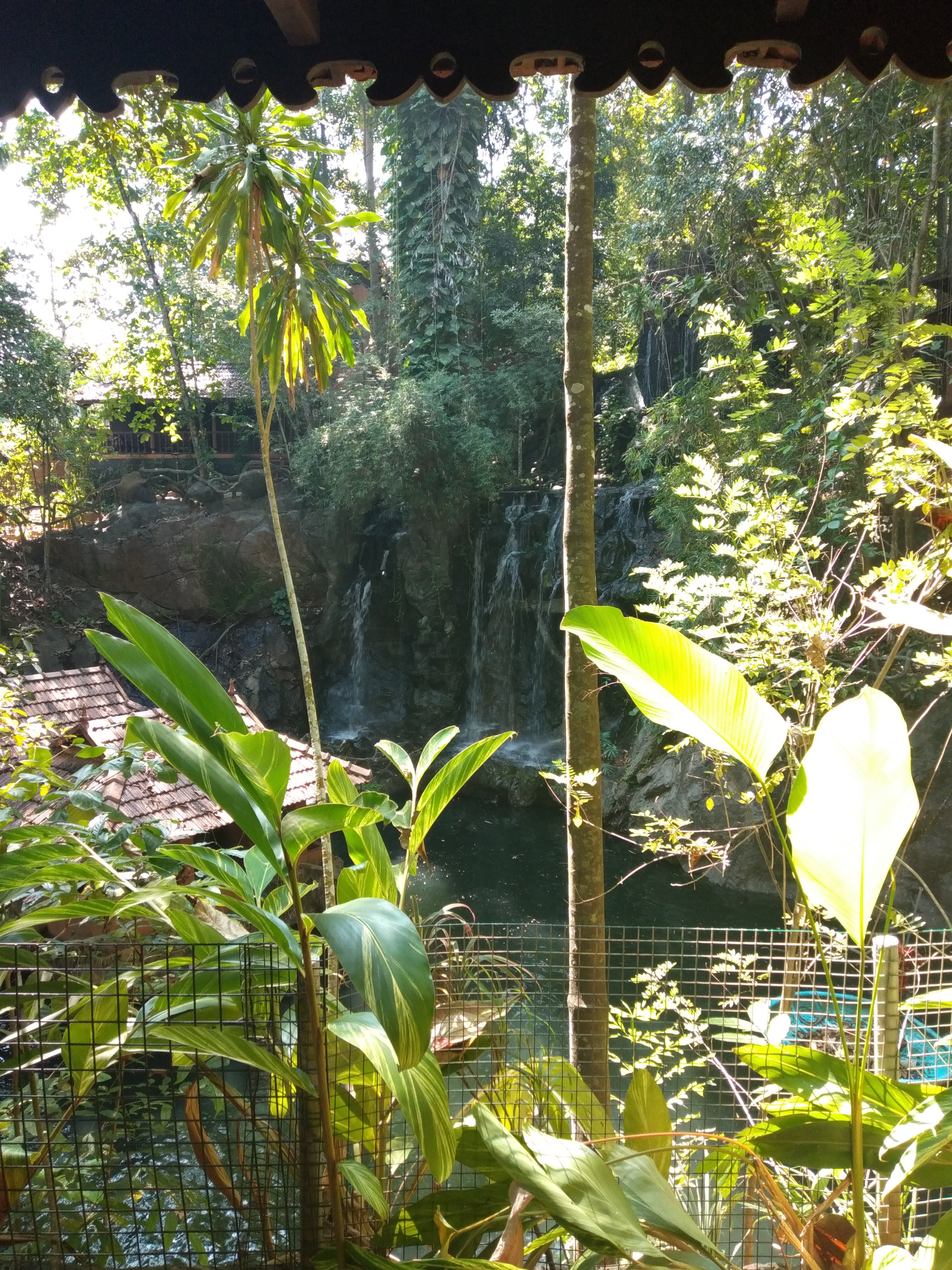 Rain Forest Ayur County Resort-官方