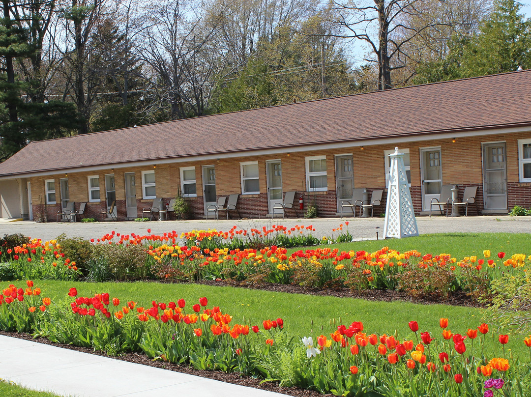 Bellaire Motel主图