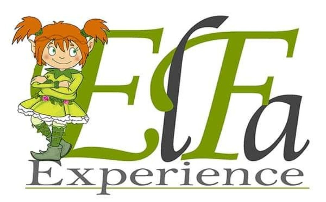 Elfa Experience景点图片