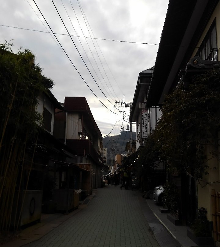 Nagatoro Iwadatamidori Shotengai-长瀞町必去景点