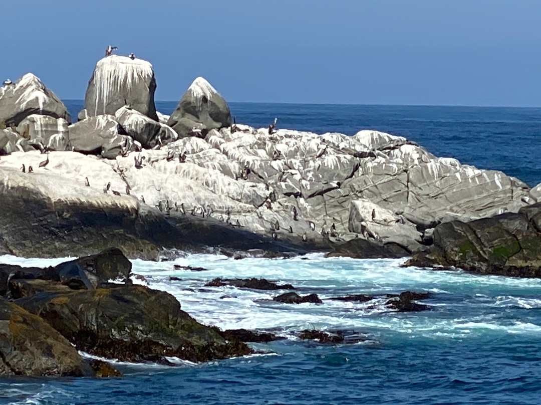 B&B Casa El Pangue主图