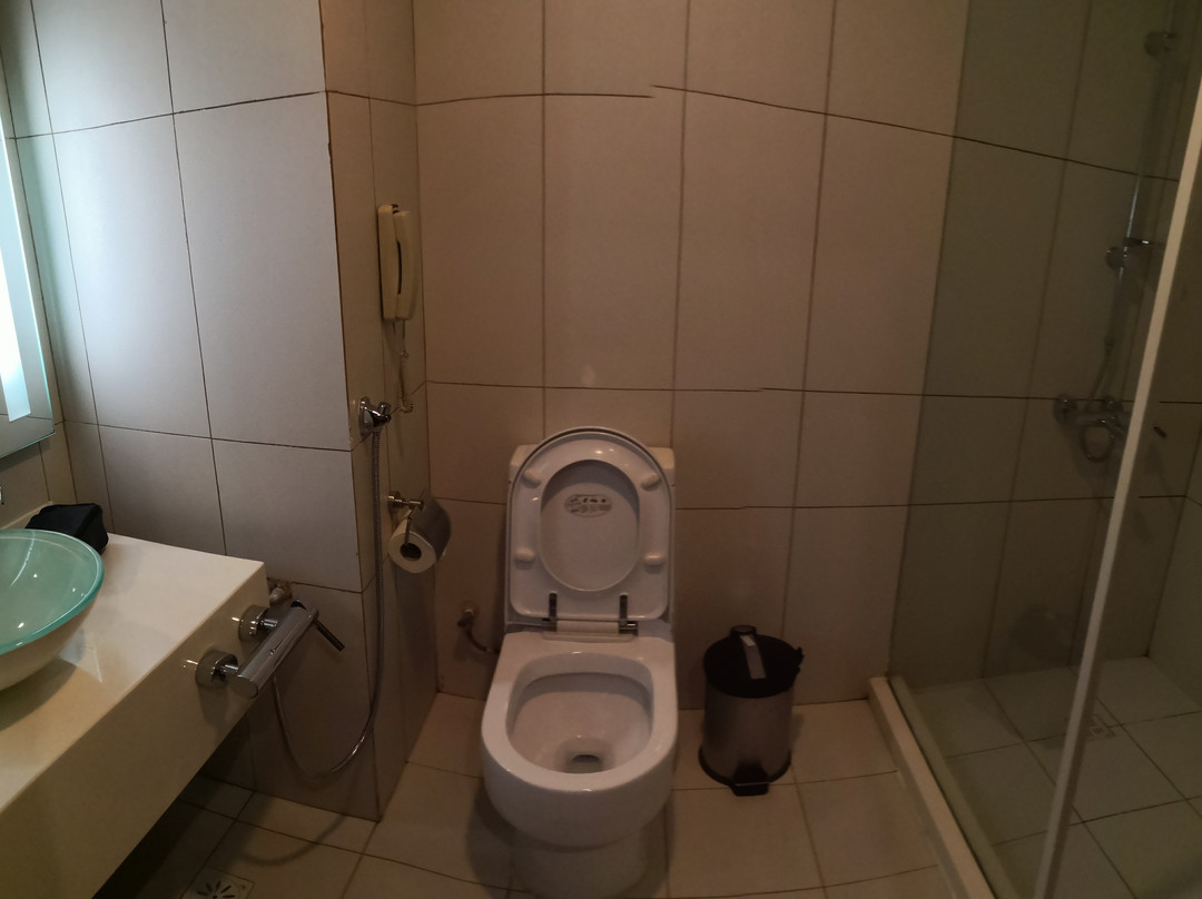 Yazd Arg-E-Jadid Hotel主图