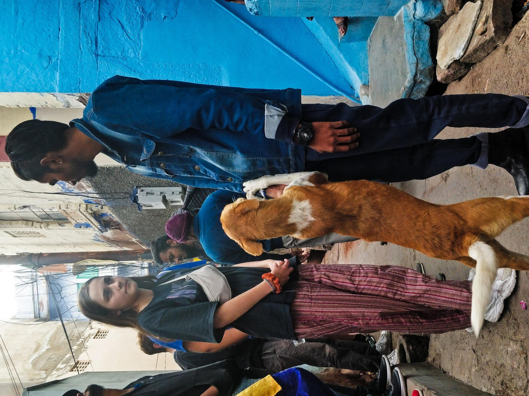 Jodhpur walking tours-焦特布尔必去景点