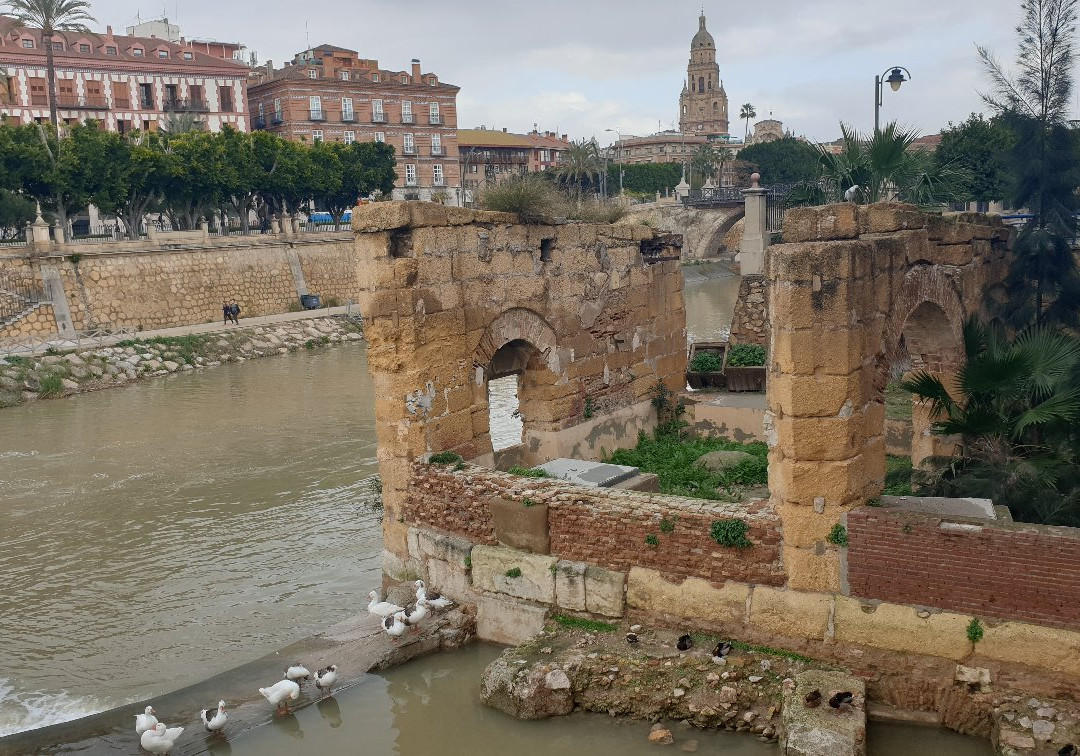 Pasarela del Malecon-穆尔西亚必去景点