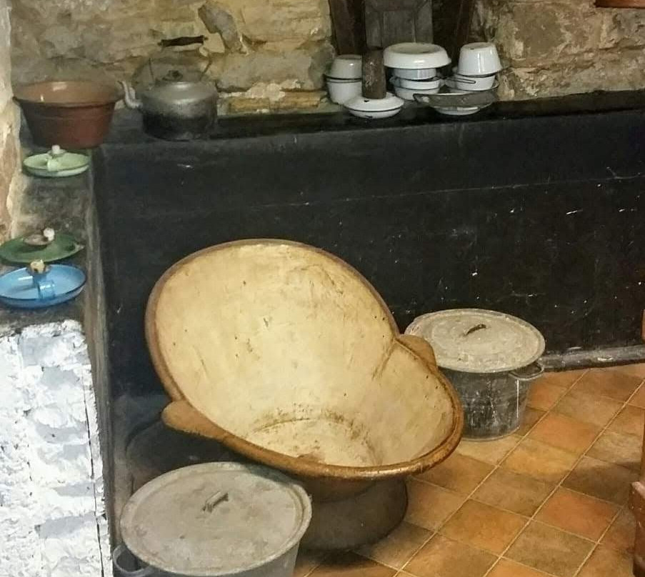 Poole Museum and Scaplen's Court Museum and Herb Garden-普尔必去景点