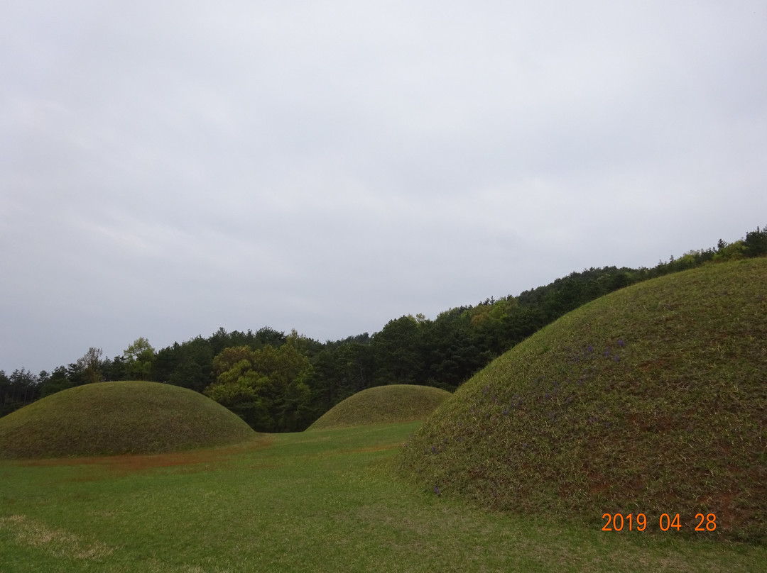 Baekje Royal Tombs-扶余郡必去景点