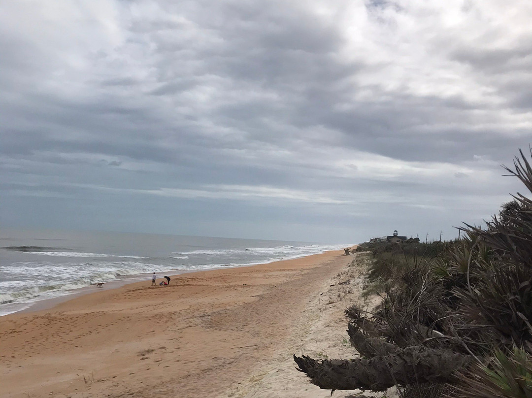 Varn Park-棕榈海岸必去景点