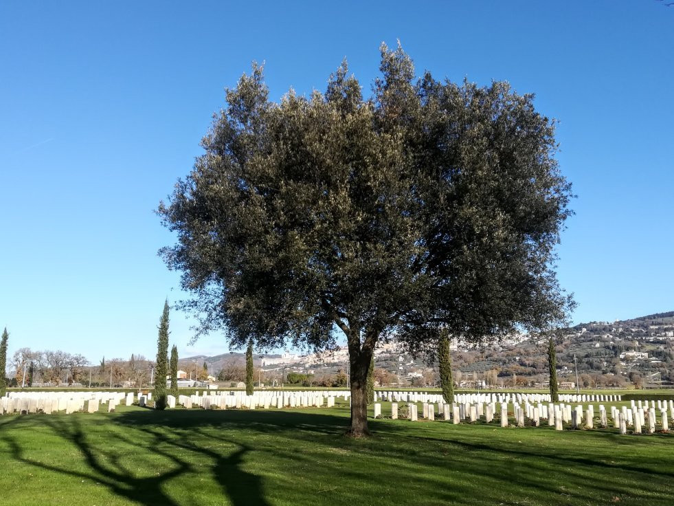 Cimitero di guerra inglese di Assisi景点图片