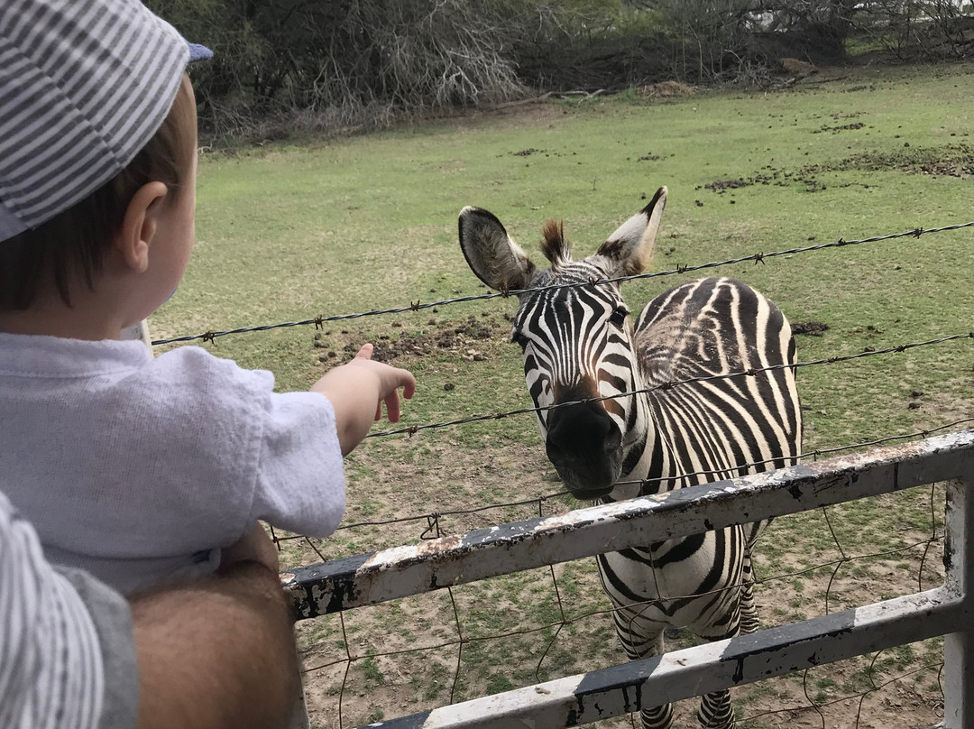 Zoologico de Reynosa-Reynosa必去景点