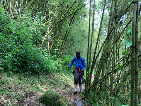 Mount Stanley-温佐里山国家公园必去景点