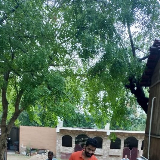 Krishna Ranch景点图片