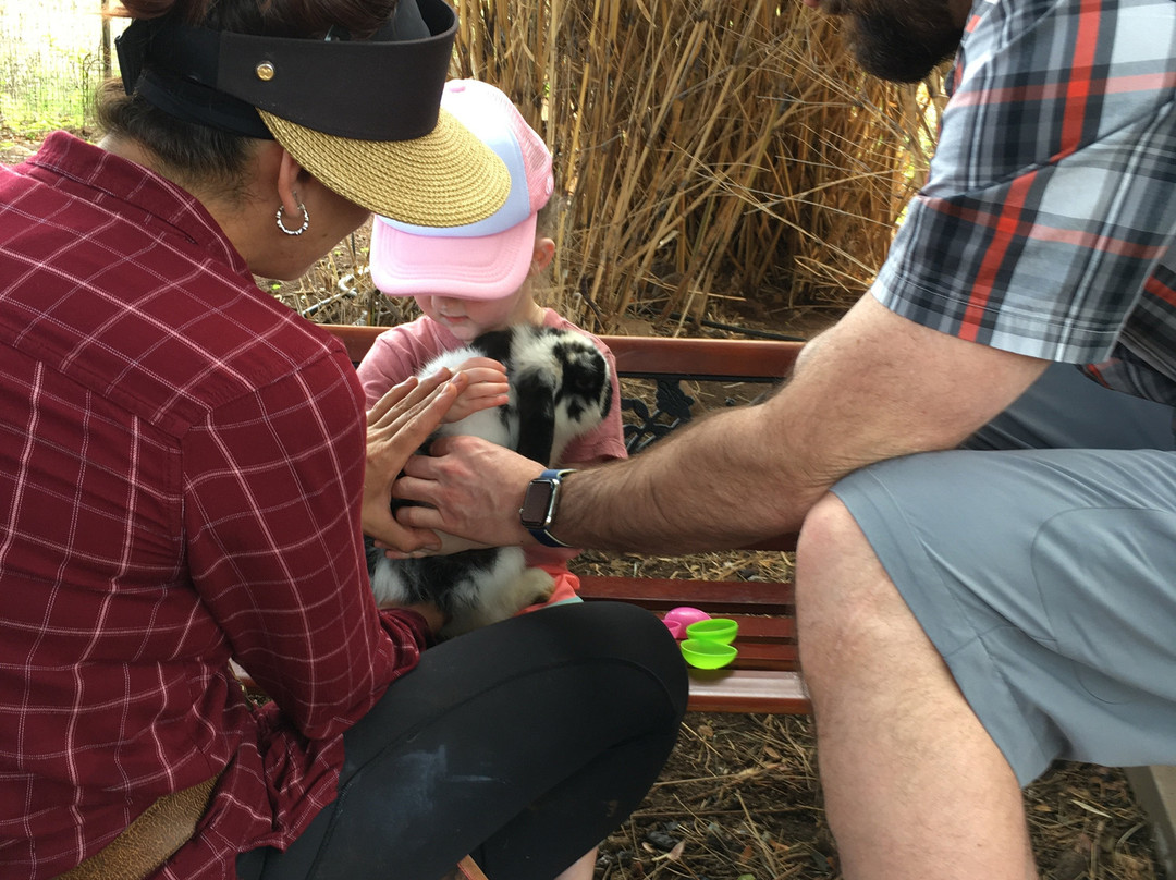 Lahaina Animal Farm景点图片