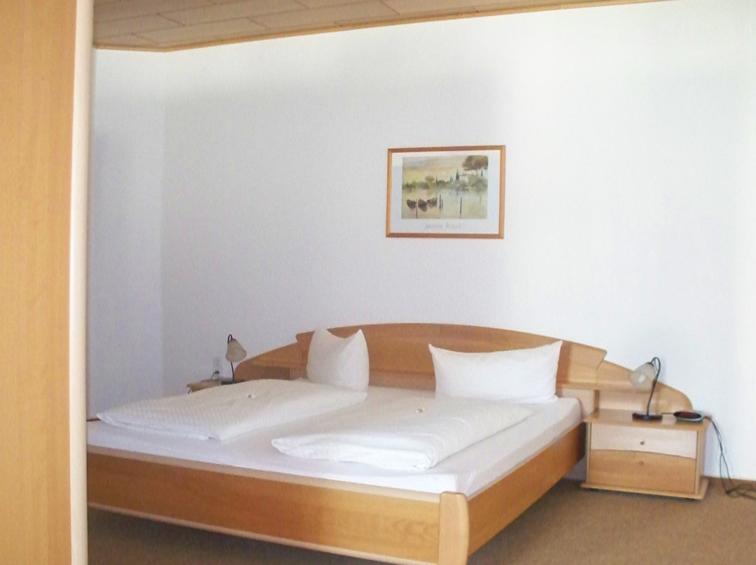 Stadt-gut-Hotel Auerhahn主图