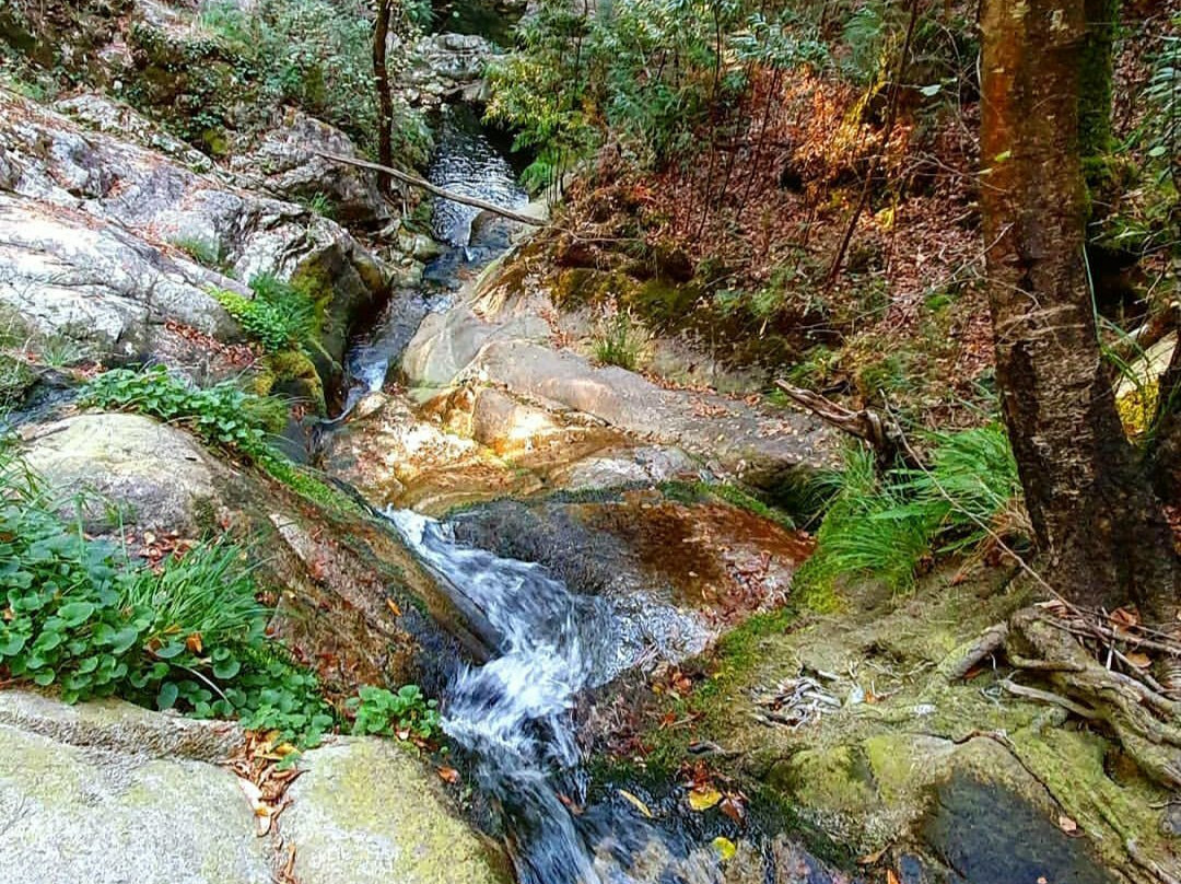 Ruta de Senderismo Rio Da Fraga景点图片