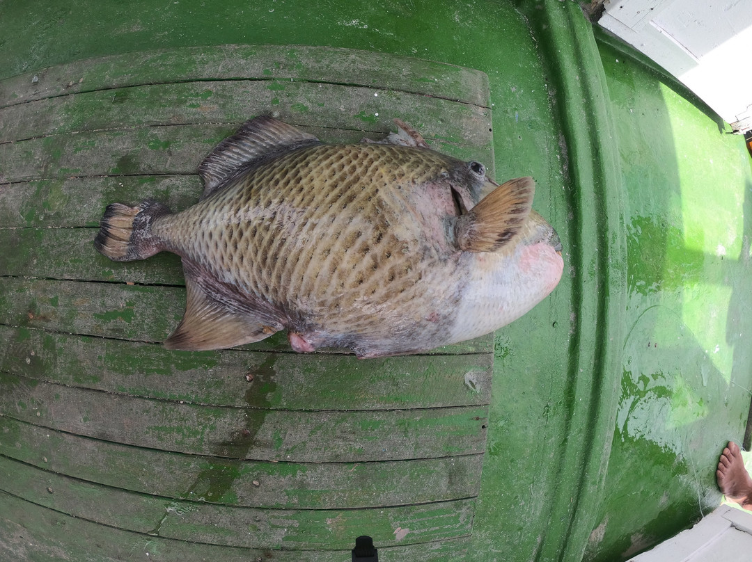 Beach Heaven Maldives - Golden Turtle Guest House主图