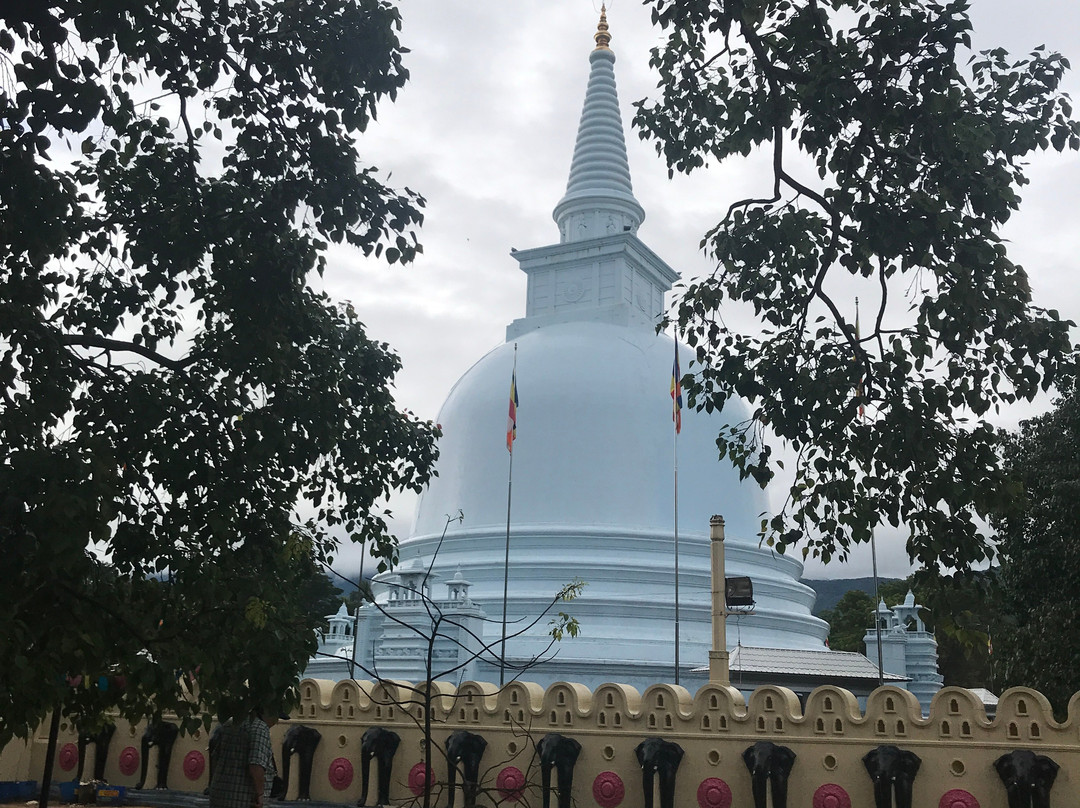 Mahiyangana Raja Maha Viharaya-Mahiyanganaya必去景点