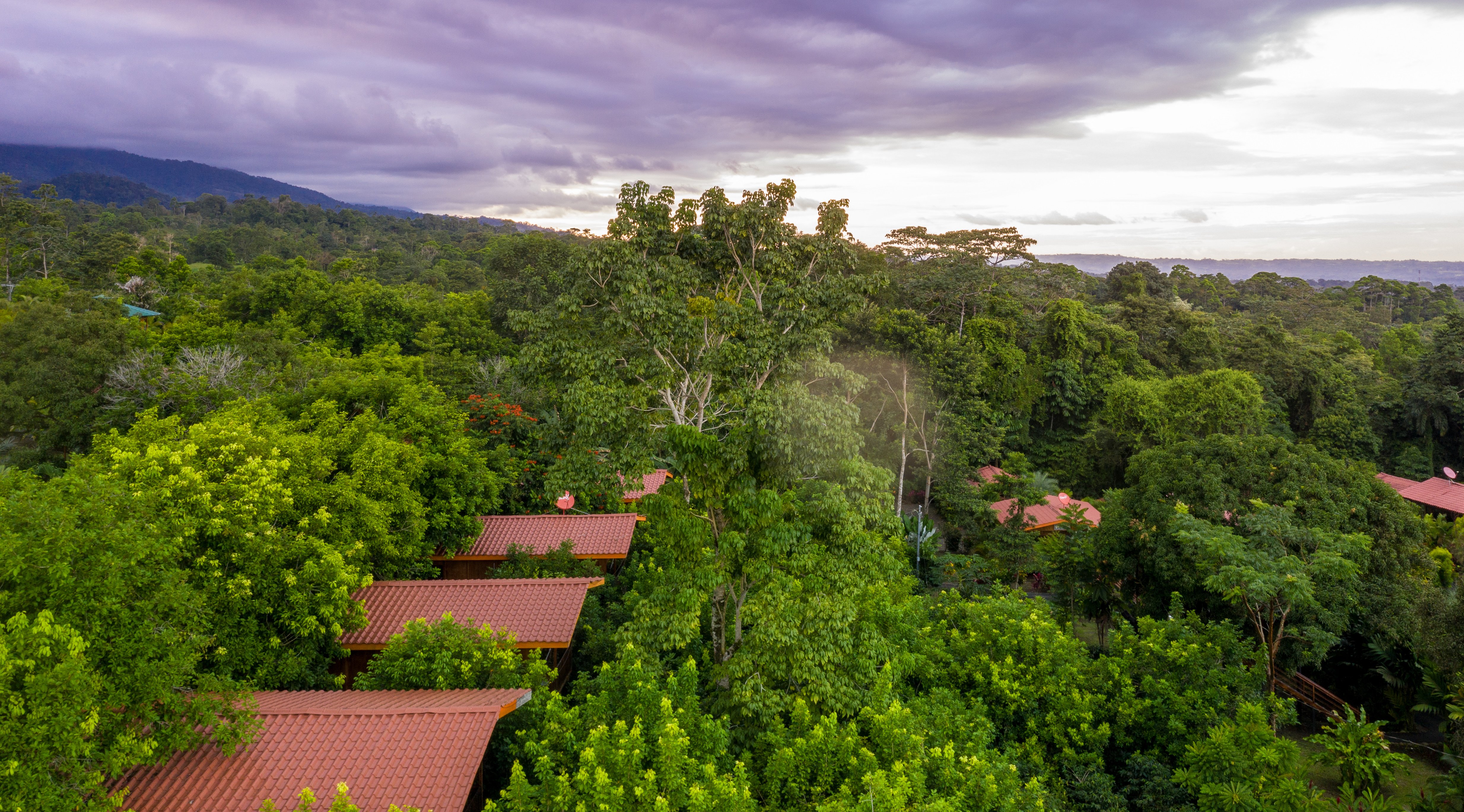 Heliconias Nature Inn & Hot Springs-官方