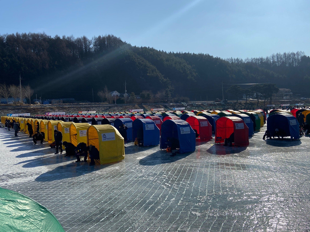 Pyeongchang Trout Festival-平昌郡必去景点