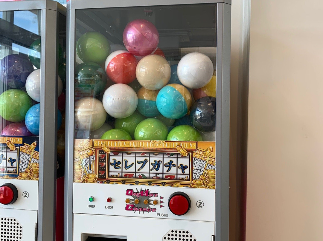 Tohokudo Hasuda Service Area Outbound-莲田市必去景点