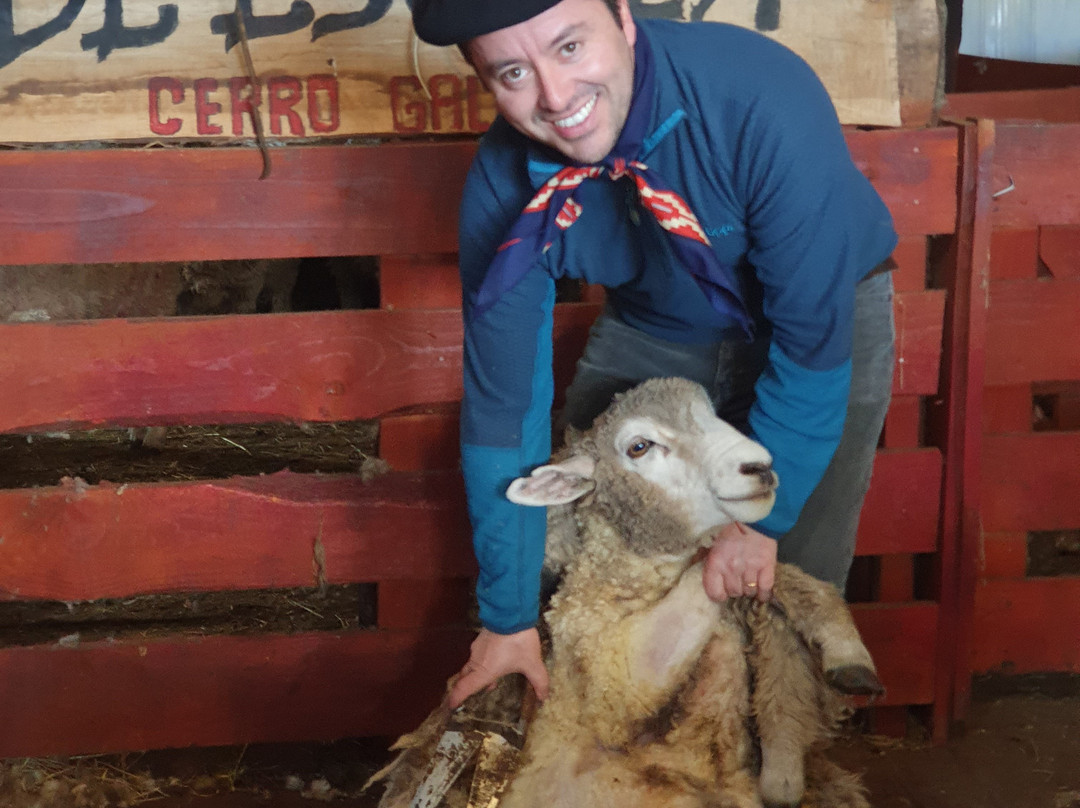 Fundo don Gerardo-Coyhaique必去景点