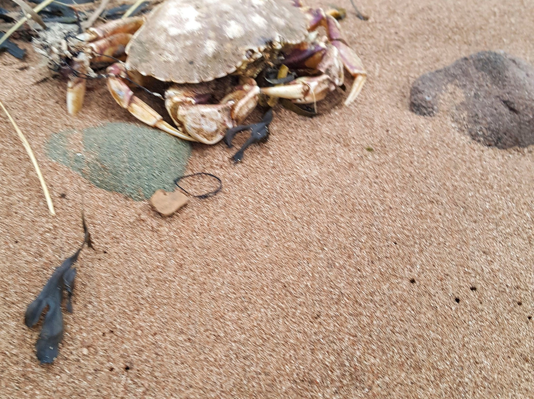 Caribou/Munroes Island Provincial Park-Pictou必去景点