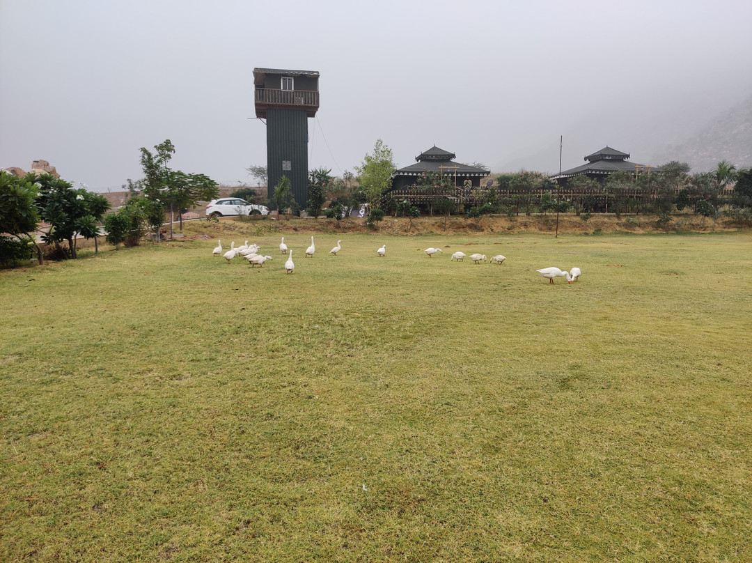Total Tours India景点图片