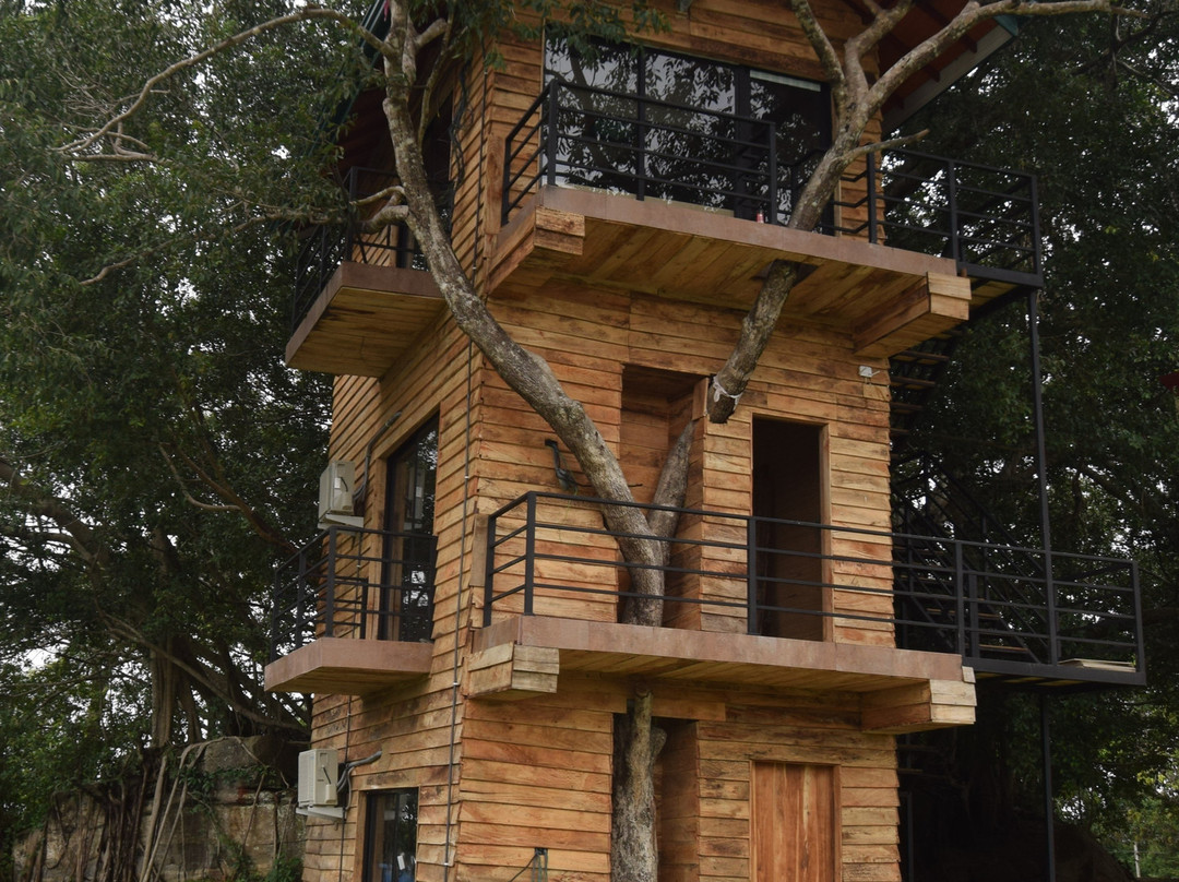 The Lion Kingdom主图