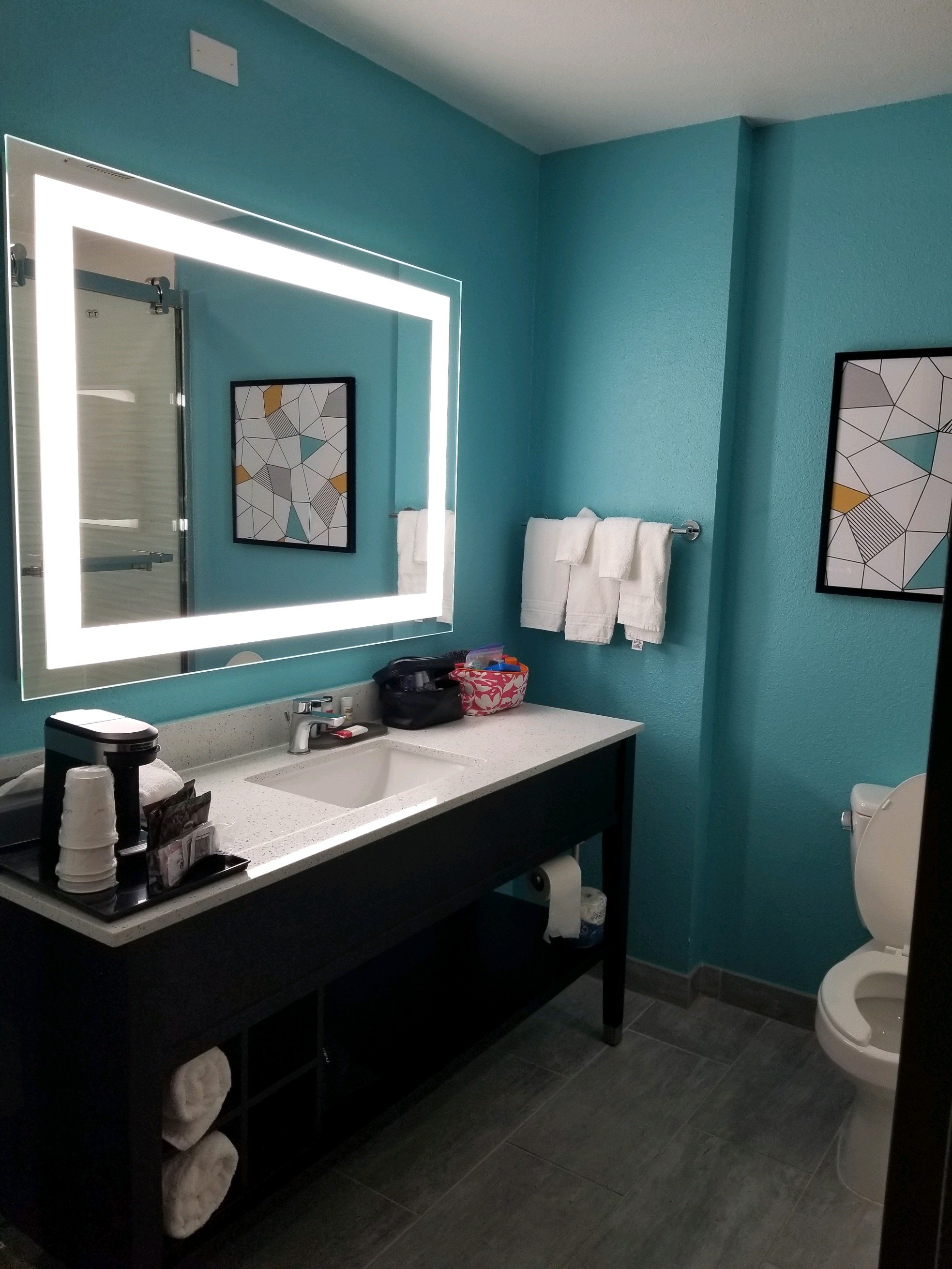 La Quinta Inn & Suites by Wyndham Montgomery-浴室