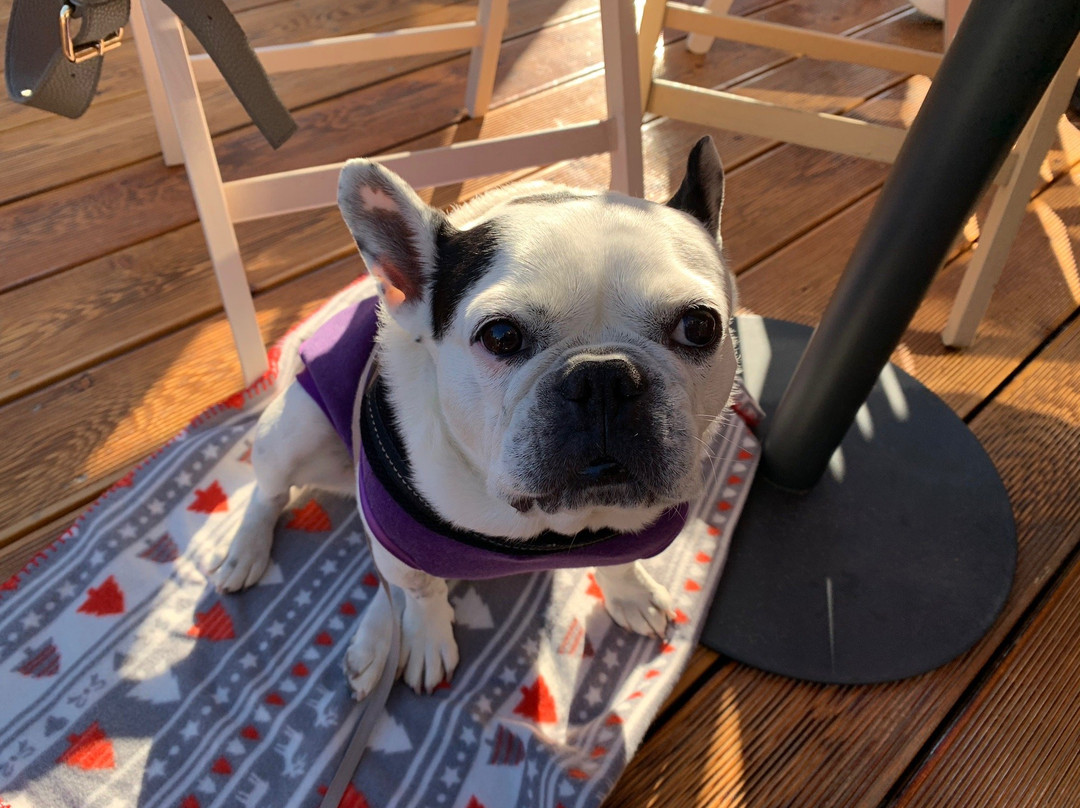 Chentu Lunas Hotel主图