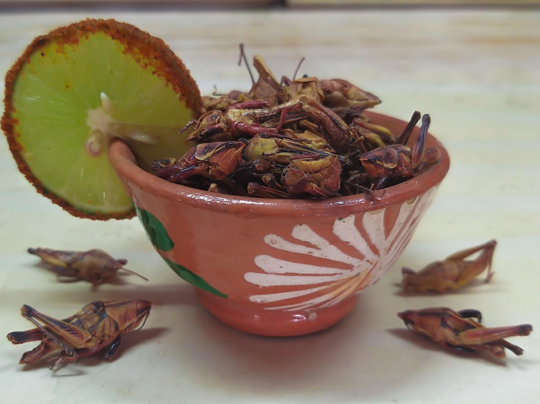 Mezcal la reliquia景点图片