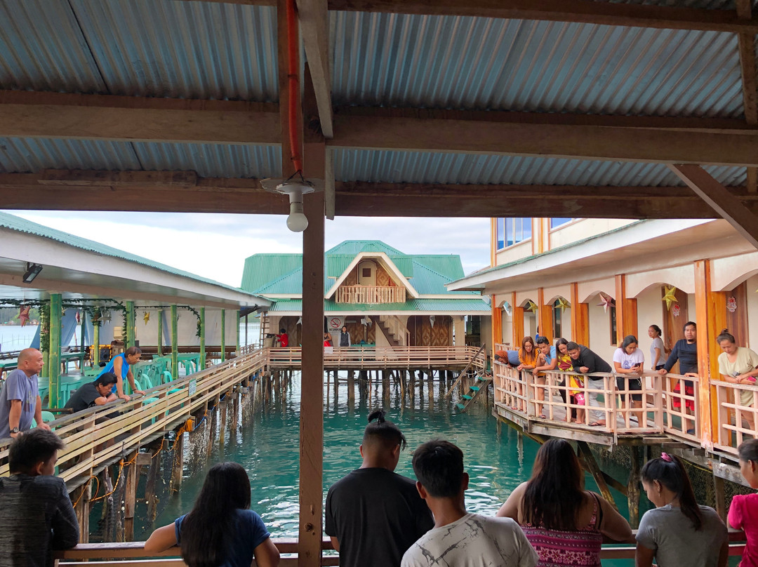 Sibadan Fish Cage主图