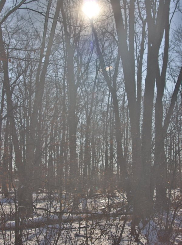 Woodlawn Park-Welland必去景点