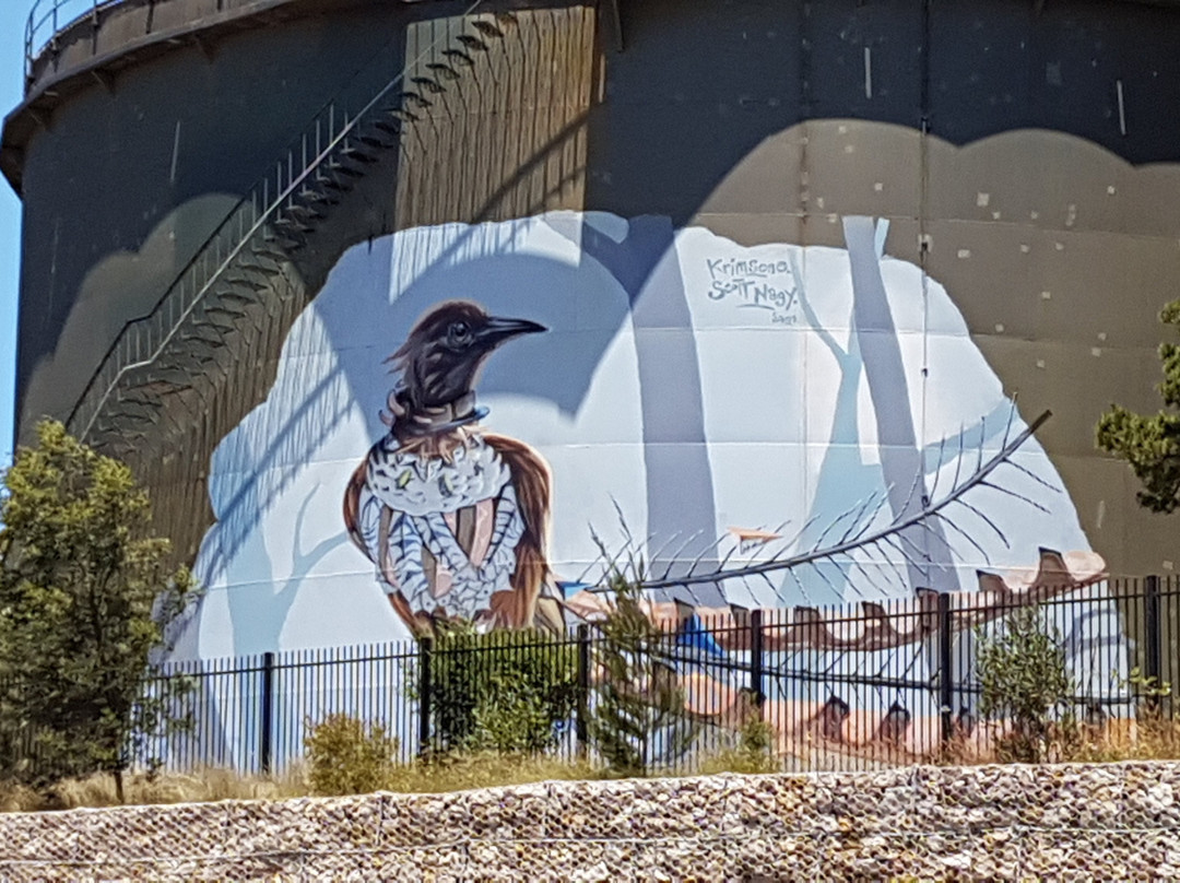 Lyrebird Mural-温特沃斯瀑布必去景点