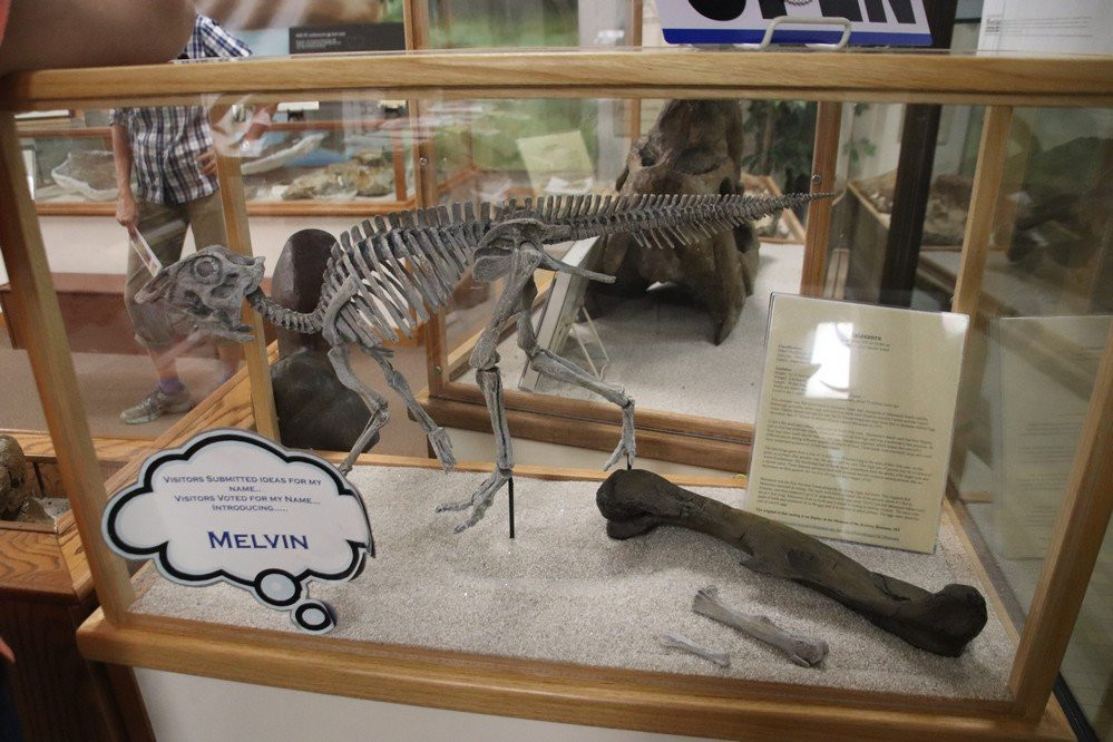 H. Earl Clack Memorial Museum-Havre必去景点