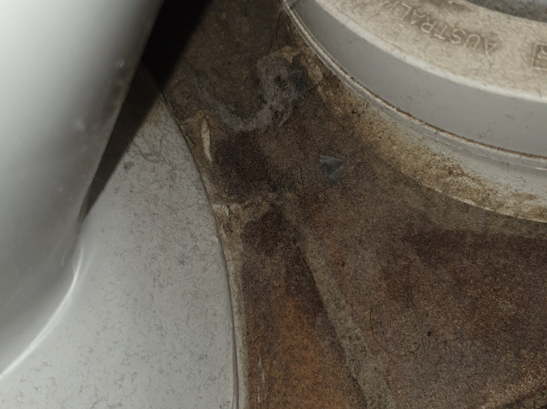 Arabella Motor Inn主图