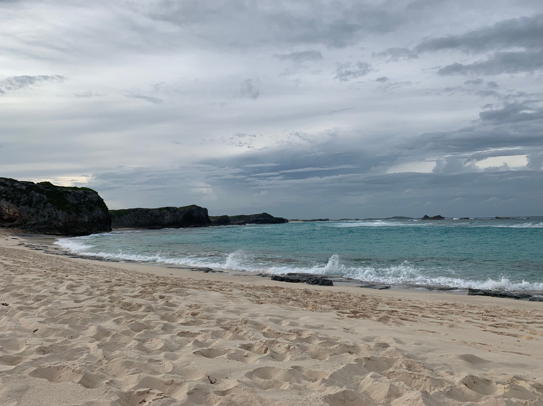 Island Tours & Excursions-普罗维登西亚莱斯必去景点