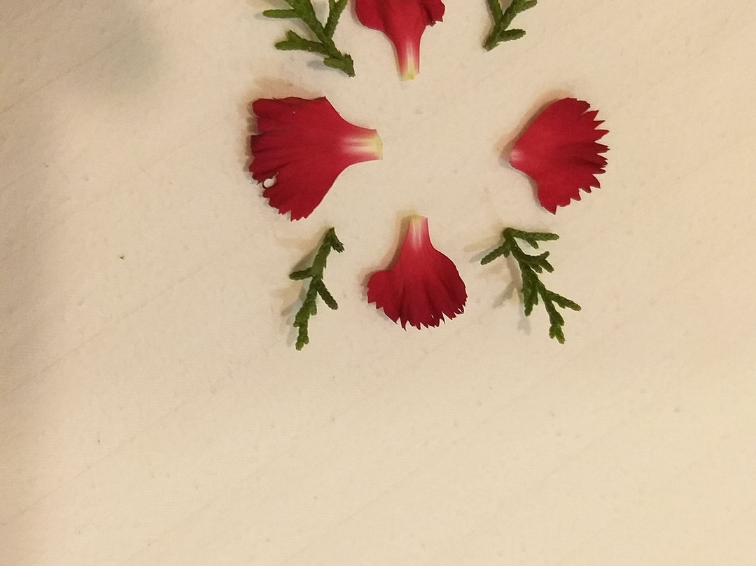 班加罗尔保罗酒店主图