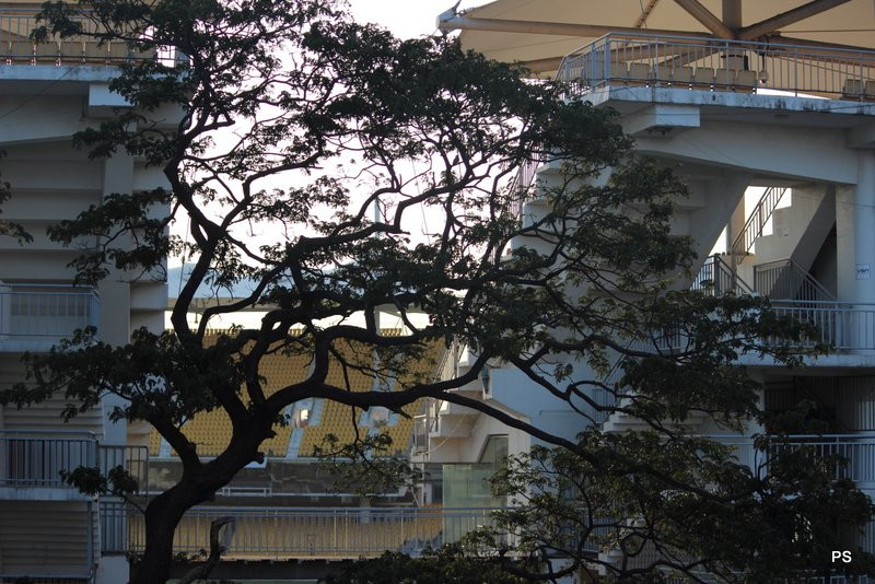 M.A.Chidambaram Stadium-金奈（马德拉斯）必去景点