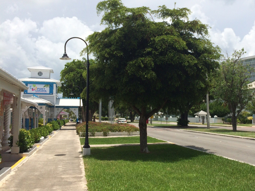 Port Lucaya Marina-弗里波特必去景点