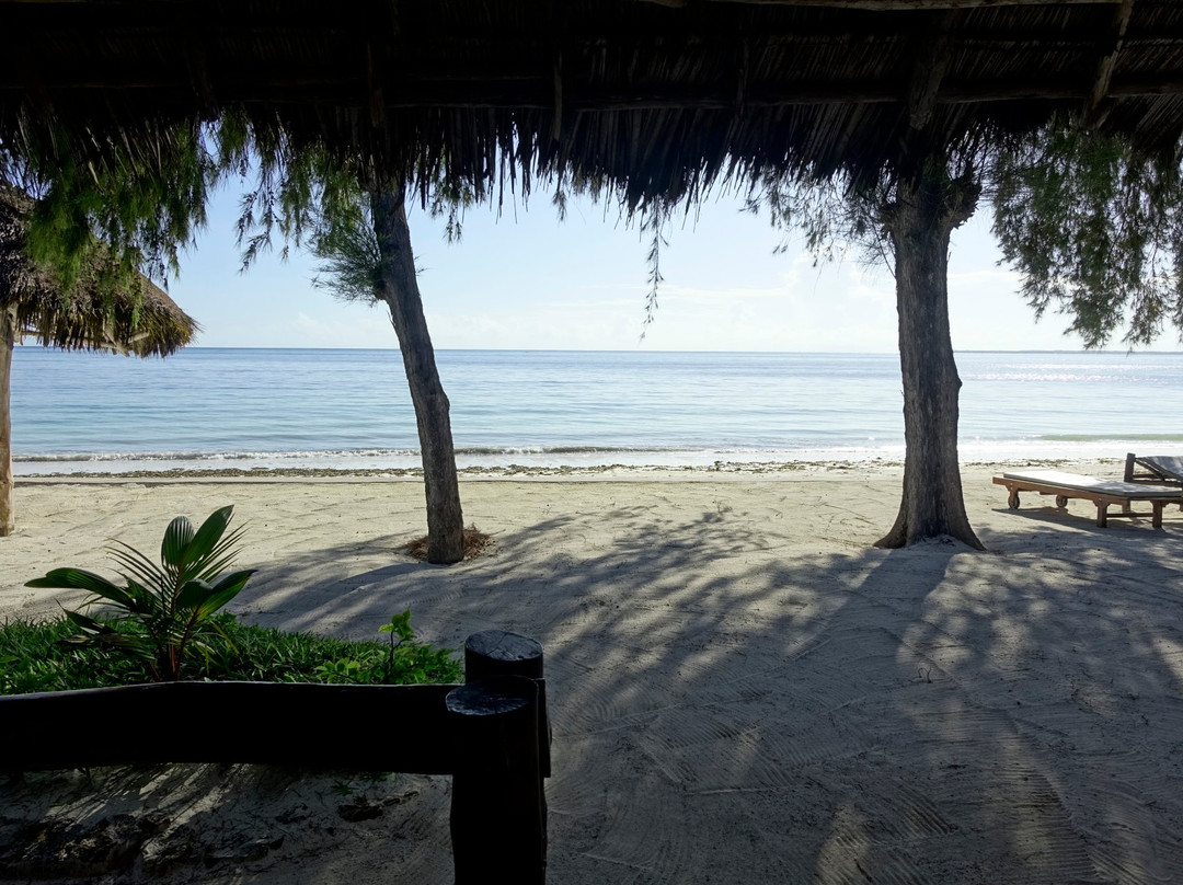 Moonshine Uroa Boutique Hotel主图