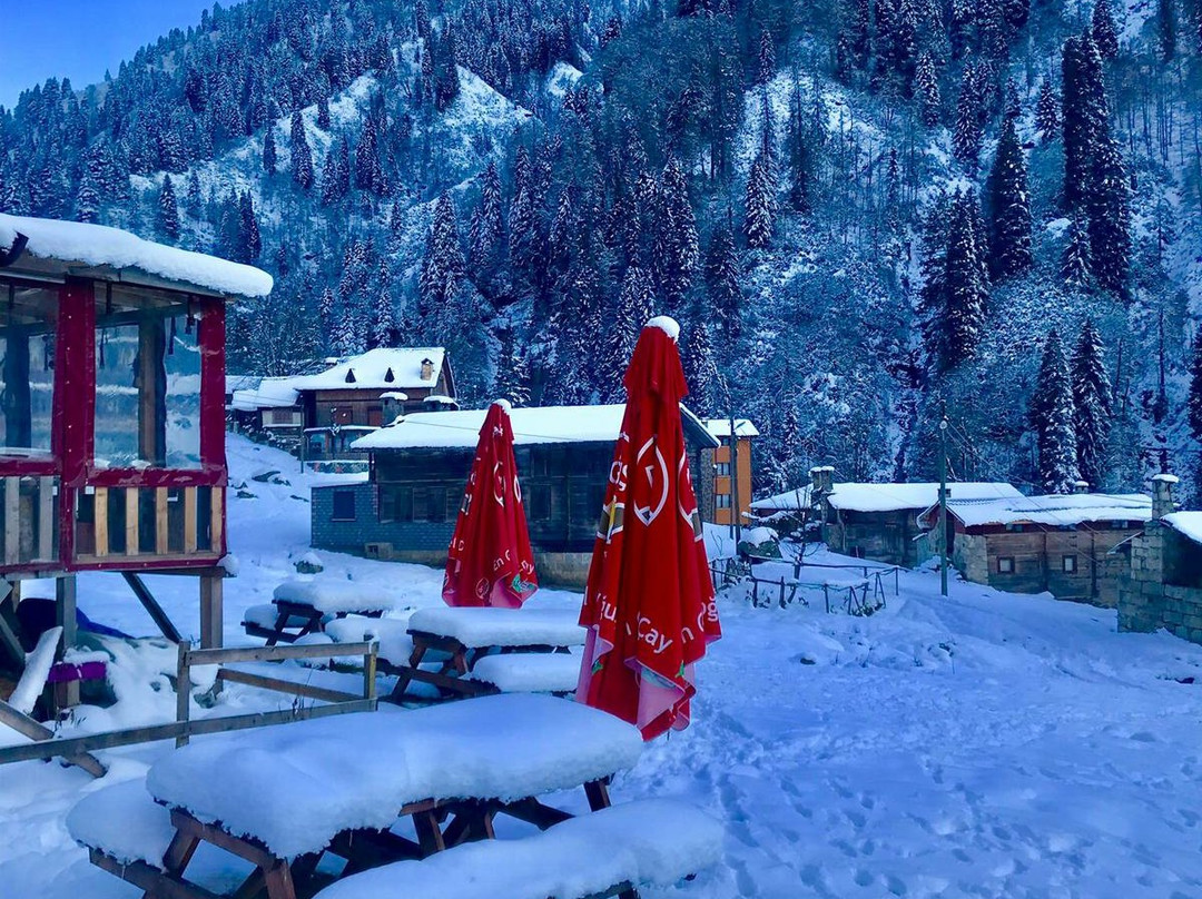 Uzungol Duyuf Hotel主图