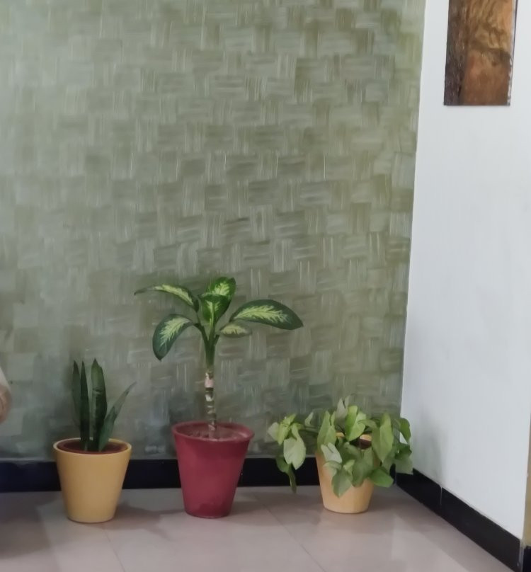 Jaipur Aatithay主图