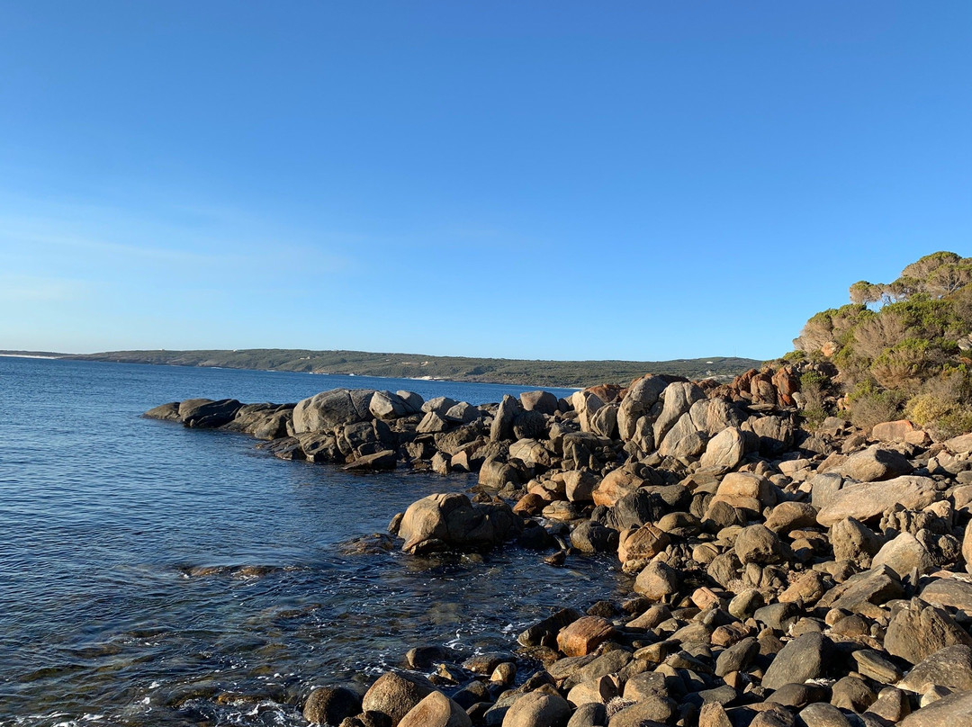 Bremer Bay Dive景点图片