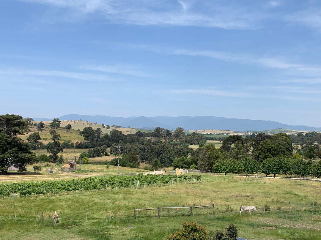 Yileena Park-亚拉格林必去景点