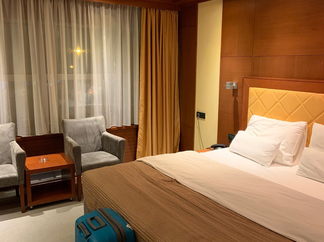 Aleksandar Novi Sad主图